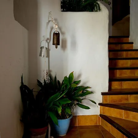 Bed & Breakfast La Posada Amena